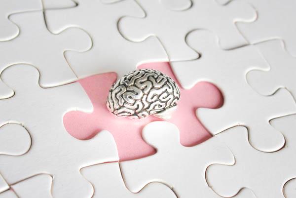 puzzle cerebro